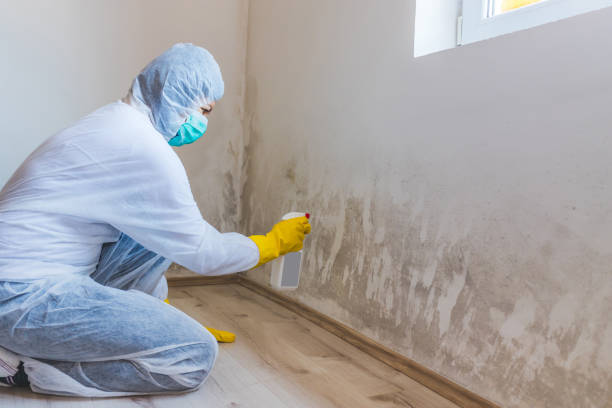 Best Crawl Space Mold Removal  in Cameron, TX